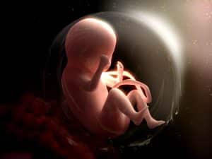How Placental Injuries Lead to Birth Injuries