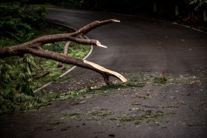 Road Debris Can Cause Catastrophic Injuries, Especially to Motorcycle Riders